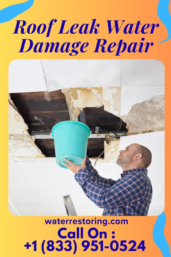Roof Leak Water Damage Repair in Highfield-Cascade, MD