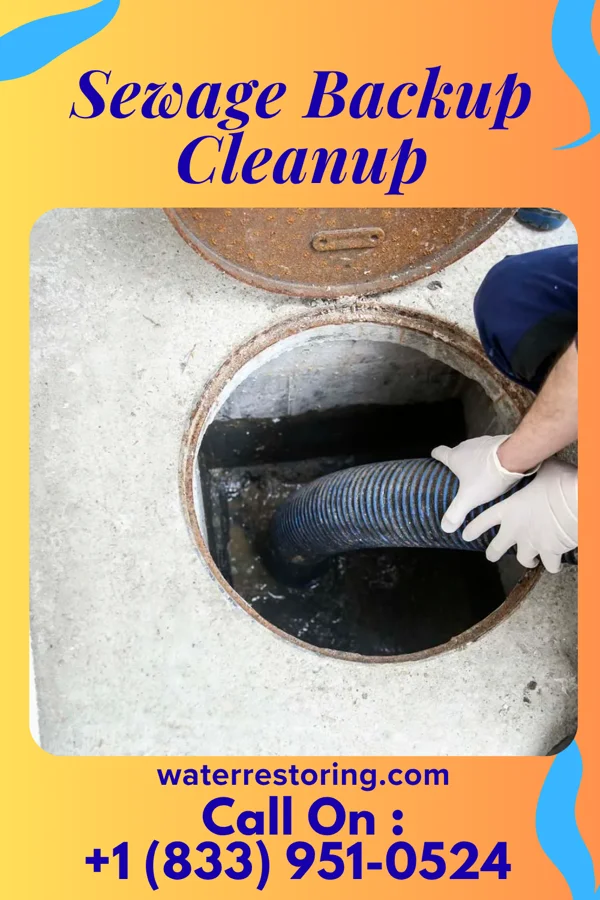 Sewage Backup Cleanup in Highfield-Cascade, MD