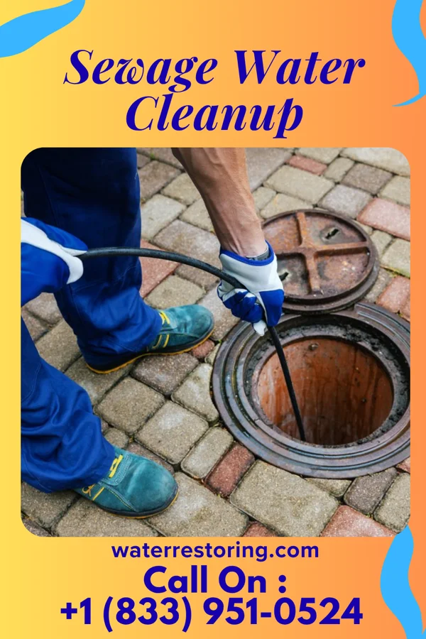 Sewage Water Cleanup in Highfield-Cascade, MD